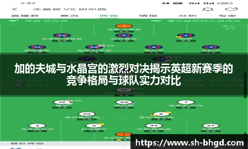 加的夫城与水晶宫的激烈对决揭示英超新赛季的竞争格局与球队实力对比